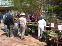 Where there's plants, there's the Rutgers Garden Club. Their booth was quite popular and no doubt gained them many new members