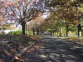photo of Red Oak Lane