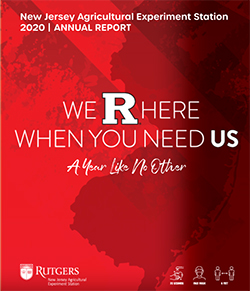 NJAES 2020 Annual Report cover.